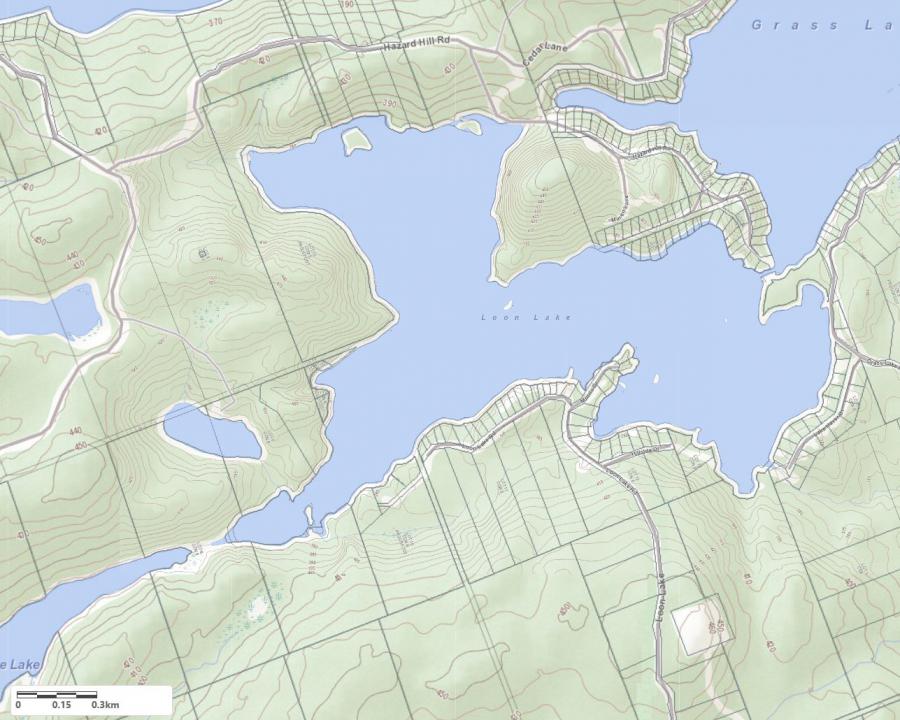 Topographical Map of Loon Lake in Municipality of Kearney and the District of Parry Sound